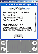 RealOne about panel